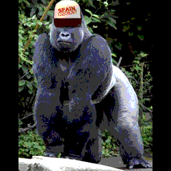 Spain has been the Gorilla of EuroBasket