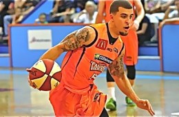 Wilbekin