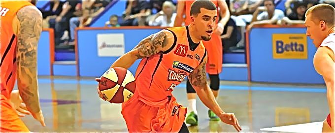 Wilbekin